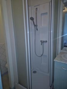 a bathroom with a shower and a sink at Appartement proche Le Pal 3 in Dompierre-sur-Besbre