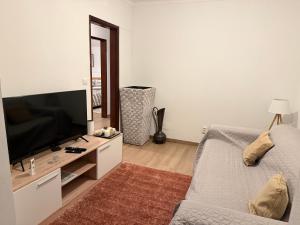 a living room with a couch and a flat screen tv at Cepas do Salgueiral - Guest House - Apartamento Centro de Tondela in Tondela