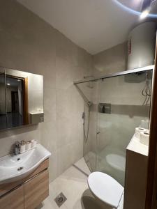 a bathroom with a shower and a toilet and a sink at La Mer Beach Residence in Ulcinj +44 photos