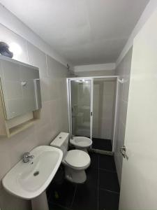 a bathroom with a toilet and a sink and a shower at Departamento Posadas Temporario Céntrico Alquiler in Posadas