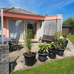a group of potted plants in front of a house at Seestern 61 in Julianadorp
