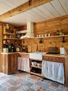 a kitchen with a sink and wooden walls at Zdalnie z Lasu - Siedlisko w Puszczy Białowieskiej in Narewka
