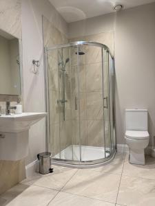 a bathroom with a shower and a toilet at Studio 7 in Dungannon +7 photos
