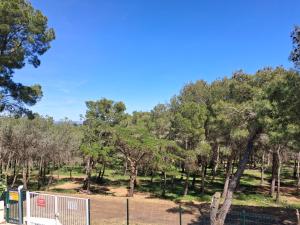 a park with a fence and trees at Chalet climatisé 6 personnes in Agde