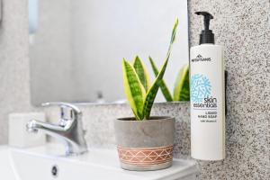 a bathroom sink with a bottle of sunscreen and a plant at Ikaria Therma Blue in Agios Kirykos +91 photos