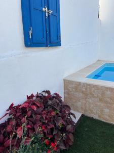 a blue door and a plant next to a pool at A Casa Azul in Vaiamonte +29 photos