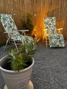a patio with two chairs and a potted plant at The Stallion in Sturminster Newton