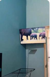 a television with a picture of a group of elephants at Stay Central Malta in San Ġwann
