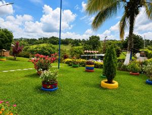 a garden with potted plants and a palm tree at Finca Hotel Vista Palmar - Eje Cafetero in Quimbaya
