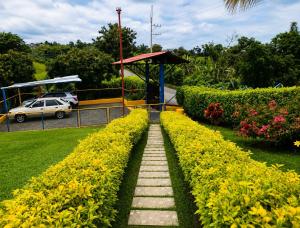 a garden with a pathway with yellow flowers at Finca Hotel Vista Palmar - Eje Cafetero in Quimbaya +19 photos