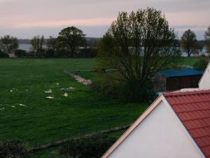 an aerial view of a field with sheep in the grass at Naturhaus Havelland in Rathenow