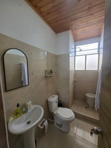 a bathroom with a white toilet and a sink at Luxury flandes in Flandes