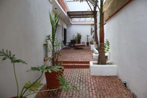 an indoor courtyard with potted plants in a building at Hotel Ladrillo in Oaxaca City
