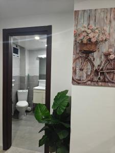 a bathroom with a bike with a basket on the wall at Résidence nid d'abeille Béjaïa in Bejaïa +6 photos