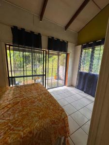 a bedroom with a bed and large windows at Mama Cat's Accommodation in Avarua