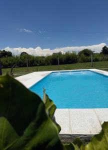 a close up of a blue swimming pool at Las Magnolias CABAÑAS in Salta