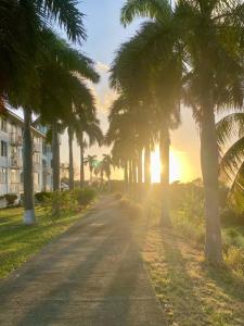 a palm tree lined road with the sunset in the background at Sea Castles La Vue in Montego Bay