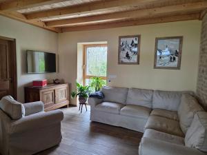 a living room with a couch and a tv at La R'mise de Surcey in Alaise