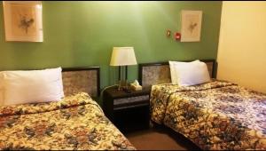 two beds in a hotel room with green walls at A Voyageur's Guest House in Ottawa