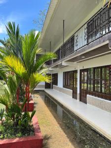 a building with a palm tree in front of it at SERRANTE Hotel Campestre in Villavicencio