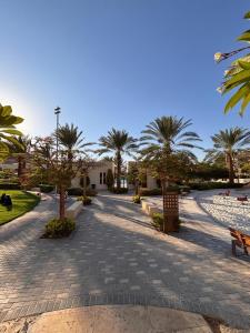 a cobblestone street with palm trees in a park at Raha Inn Apartment in Aqaba