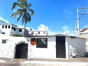 a white building with a palm tree in the background at BLACK&WHITE -Dis Dihai- in Puerto Ayora