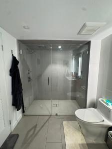 a bathroom with a shower and a toilet and a sink at Luxury Loft 1BR Steps Away from Santa Monica Pier in Los Angeles