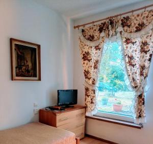 a bedroom with a window with a television on a dresser at Pensjonat agroturystyczny Sosnówka - KOSARZYN in Kosarzyn
