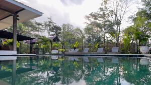 a pool at a resort with chairs and trees at Casa Siwa in Cahuita