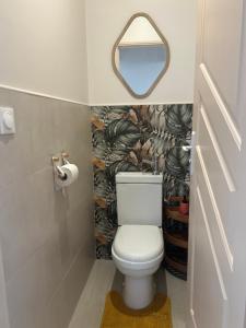 a bathroom with a toilet and a mirror at Appartement Butterfly in Ducos