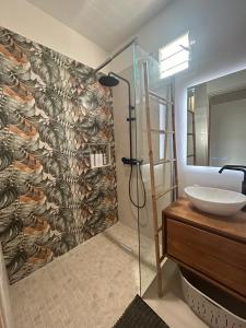 a bathroom with a shower with a sink and a mirror at Appartement Butterfly in Ducos