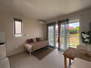 a living room with a couch and a large window at Appartement Butterfly in Ducos