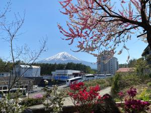 a mountain in the distance with flowers in the foreground at サザンヒルズガーデン in Fujikawaguchiko