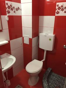コスティネシュティにあるVila Flory & Crystianaの赤と白のバスルーム(トイレ、洗面台付)