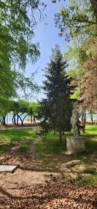 a statue in a park with trees in the background at Malina guest house in Bosteri