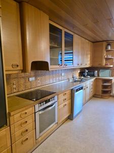 a kitchen with wooden cabinets and a stove top oven at Wohnung Maric bis zu 11 Personen in Neunburg vorm Wald