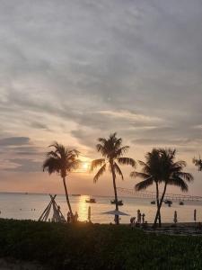 a sunset on a beach with palm trees and the ocean at Emerald Marina TL in Phú Quốc