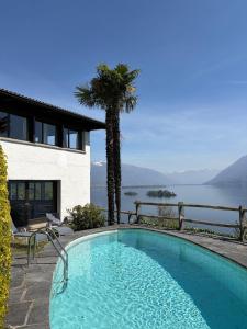 a swimming pool next to a house with a palm tree at La Finestra sul lago in Brissago