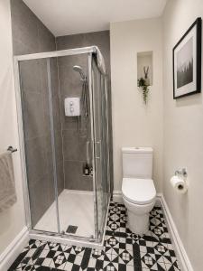 a bathroom with a shower and a toilet at Unit 5 Stunning Oceanview Apartment in Cobh