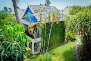Vrt pred nastanitvijo LionsDive Beach Resort