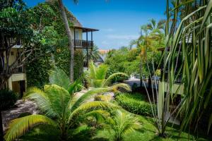 Vrt pred nastanitvijo LionsDive Beach Resort