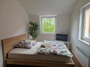 a bedroom with a bed and a window at Apartment Downtown in Regensburg
