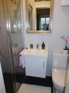 y baño con lavabo, ducha y aseo. en Steyr City Apartment mit 2 Schlafzimmer, en Steyr