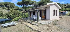 a small house with a bench in the yard at Villa Cedro in Capoliveri