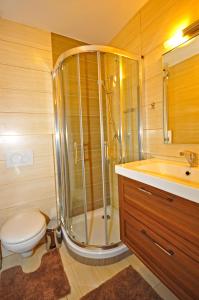 ein Bad mit einer Dusche, einem WC und einem Waschbecken in der Unterkunft Apartment Bartek Ski Rental in Demänovská Dolina