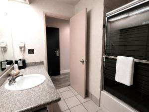 a bathroom with a sink and a shower at Hotel International in Lynnwood