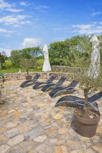 a row of chairs with trees and umbrellas at Gite le Martalou in Lacapelle-Viescamp