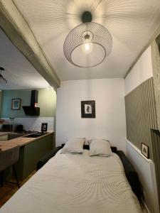 a bedroom with a bed and a ceiling at L'Escapade Maillotine in Joigny +34 photos