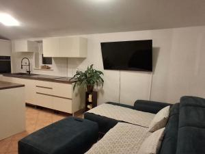 a living room with a couch and a kitchen at Apartman Premantura Rumora in Premantura