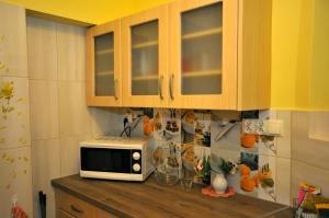 a microwave sitting on a counter in a kitchen at Apartament U Jacka in Rabka-Zdrój